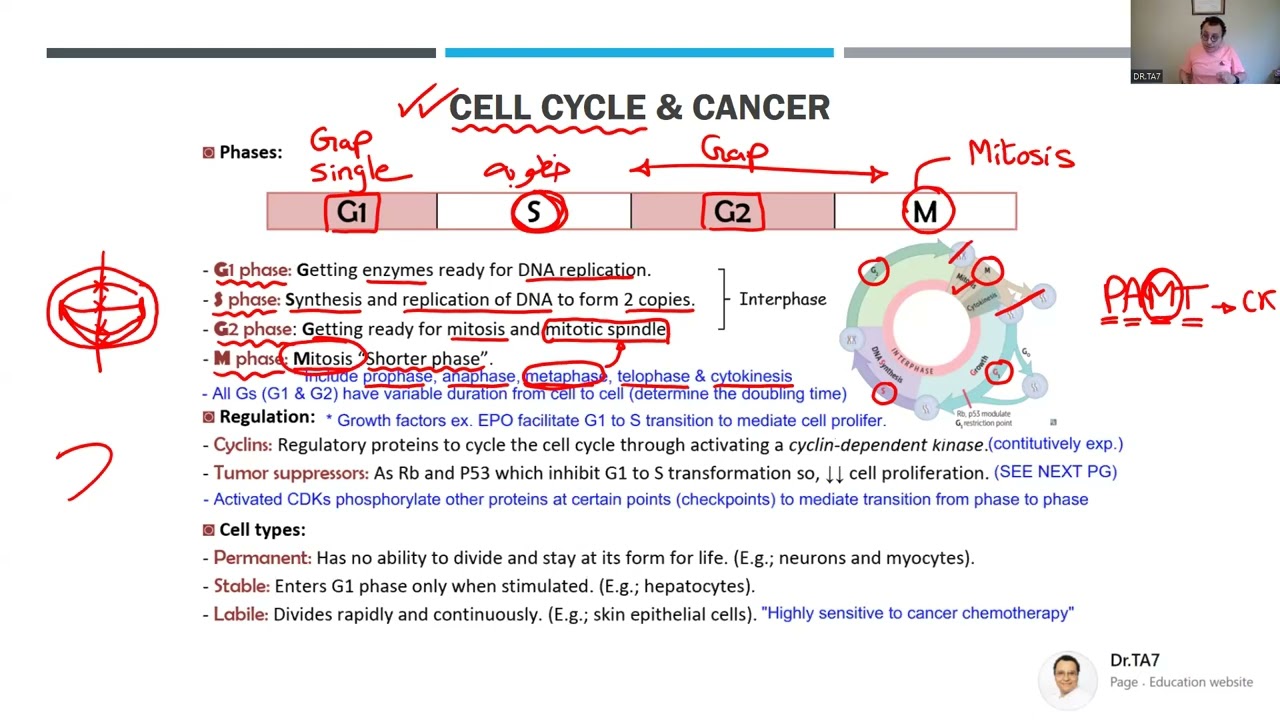 DR.TA7: ANTICANCER DRUGS 1