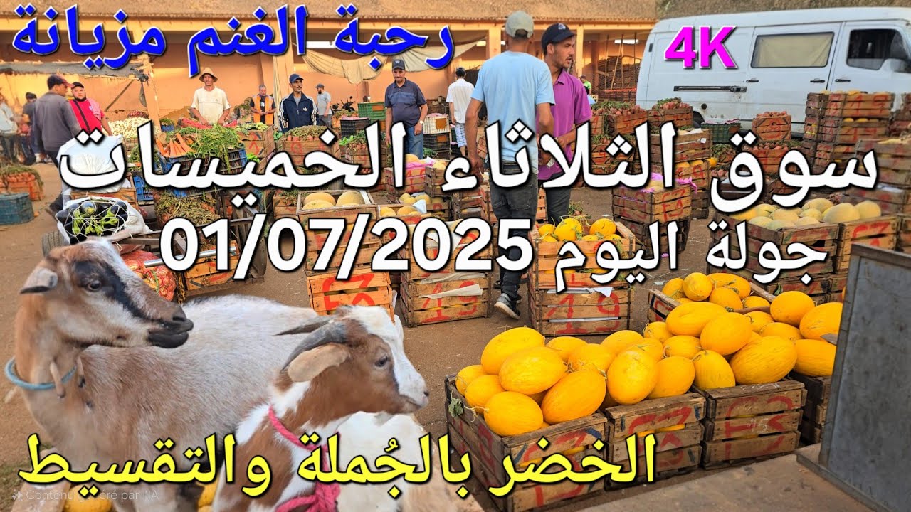 أثمنة الغنم والدجاج واللحوم والخضر سوق الثلاثاء الخميسات اليوم 01/07/2025