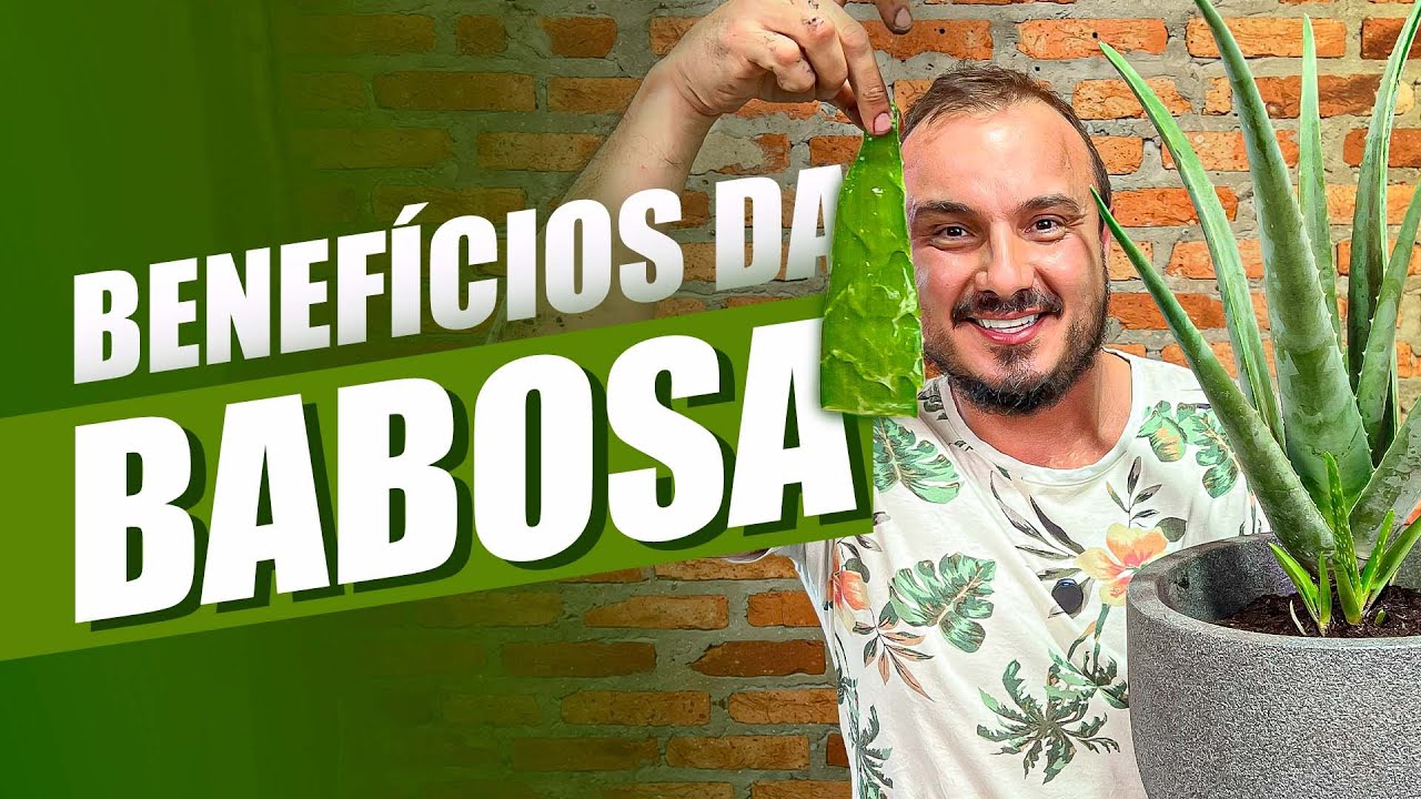 Como CULTIVAR BABOSA | Planta com benefícios para a Saúde e a Pele
