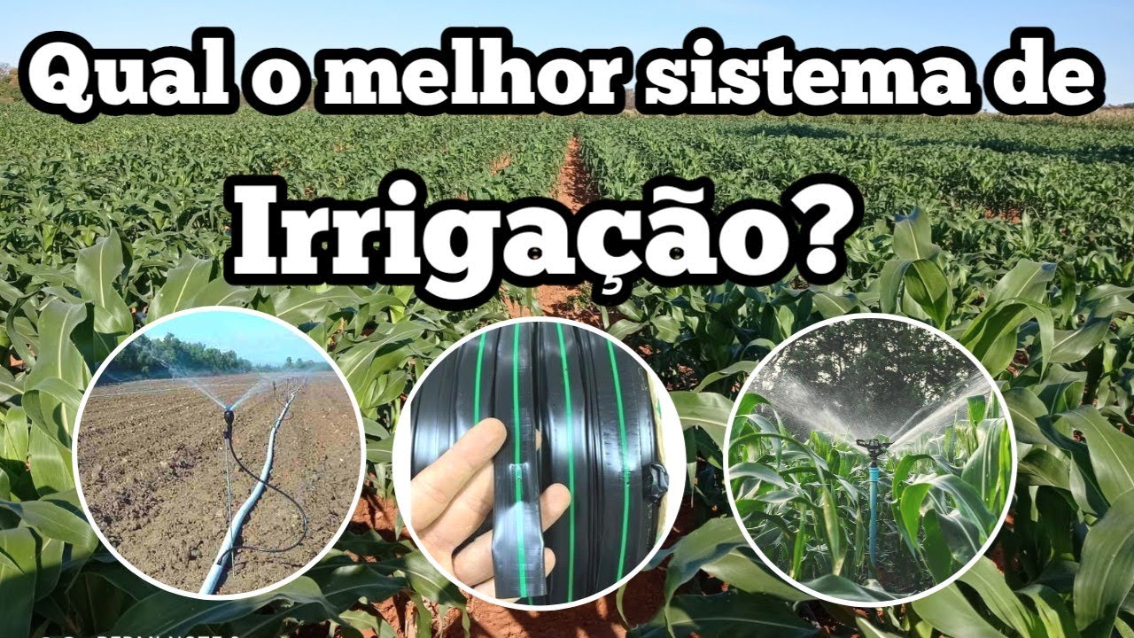 Qual o Melhor sistema de IRRIGAÇÃO para MILHO VERDE?