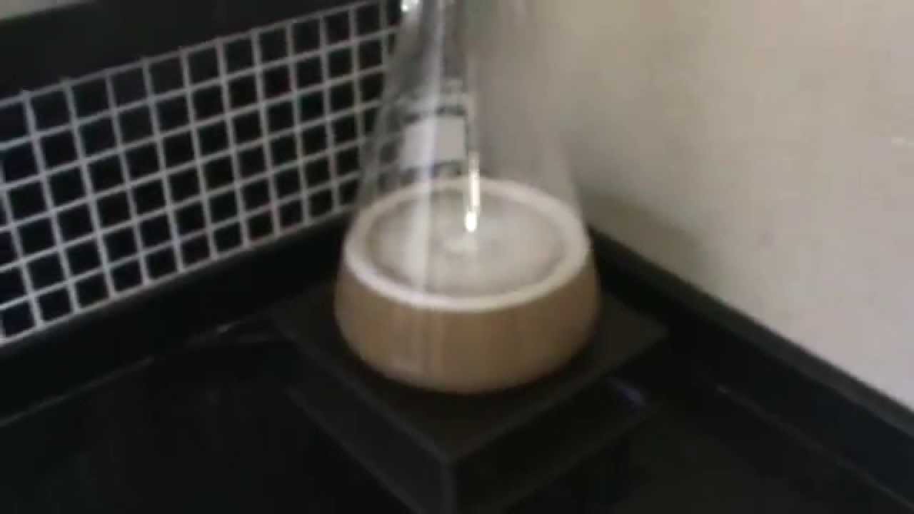 Propagação de fermento