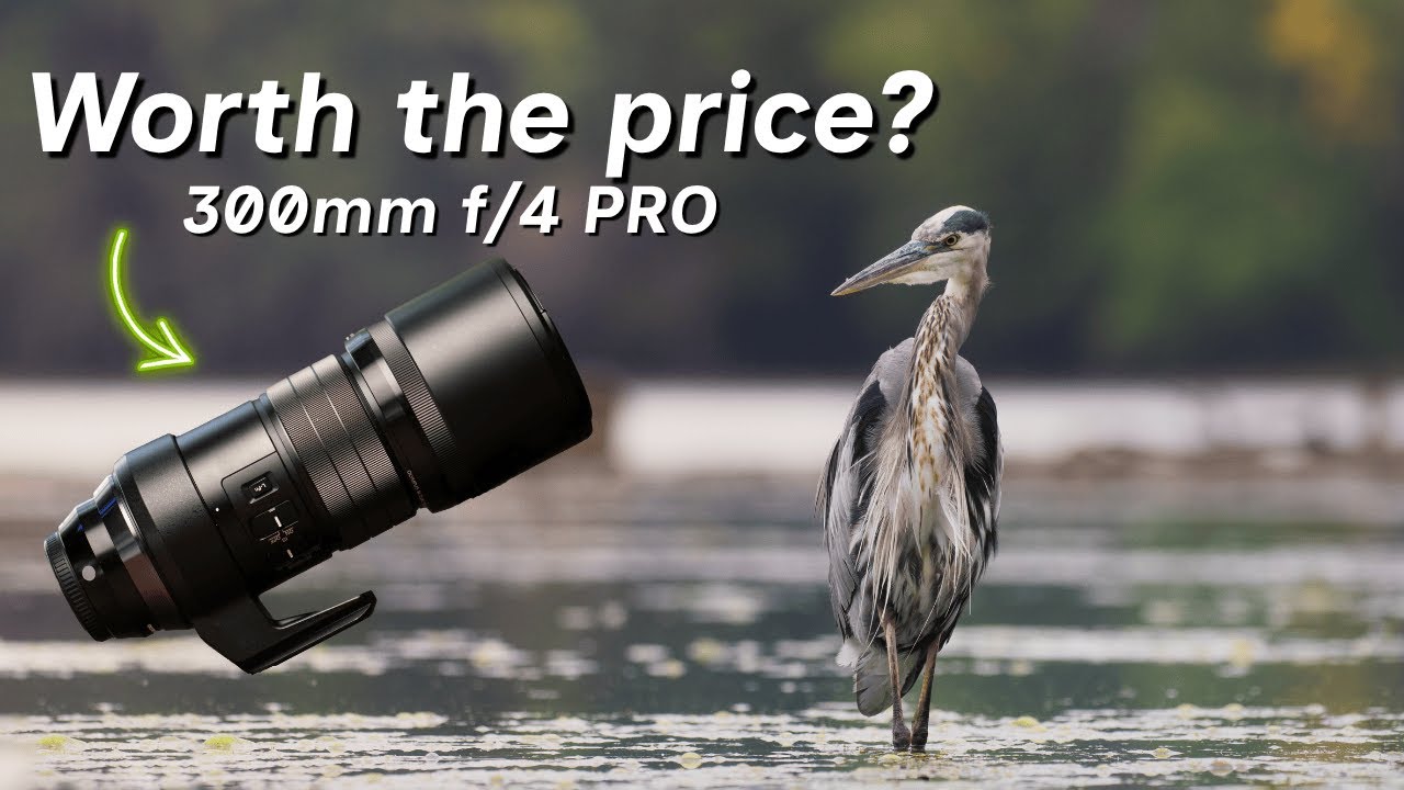Объектив OM SYSTEM 300mm f/4 PRO — Полевое тестирование в условиях дикой природы с камерой OM-1 M...