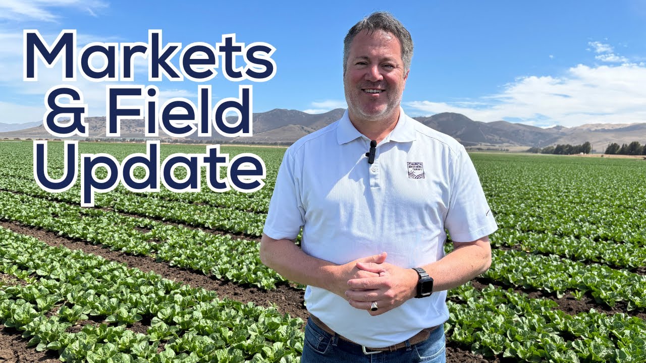 Field Report: Ernst van Eeghen, Market & Field Update 7.8.25