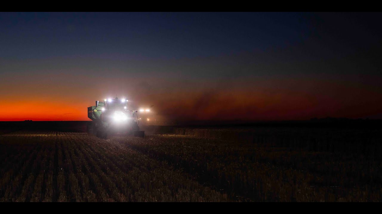 BML Farms starting to make a mark on their highly productive Eradu Farm.