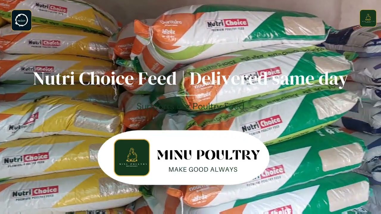 Nutri Choice Feed || #poultry #makegoodalways #minupoultry @minupoultry #poultryfeed