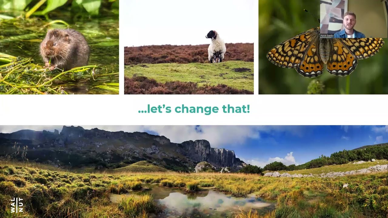 Message testing based on behavioural science for peatlands