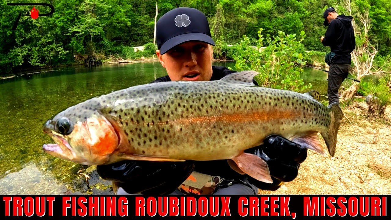Trout Fishing Missouri Roubidoux Creek