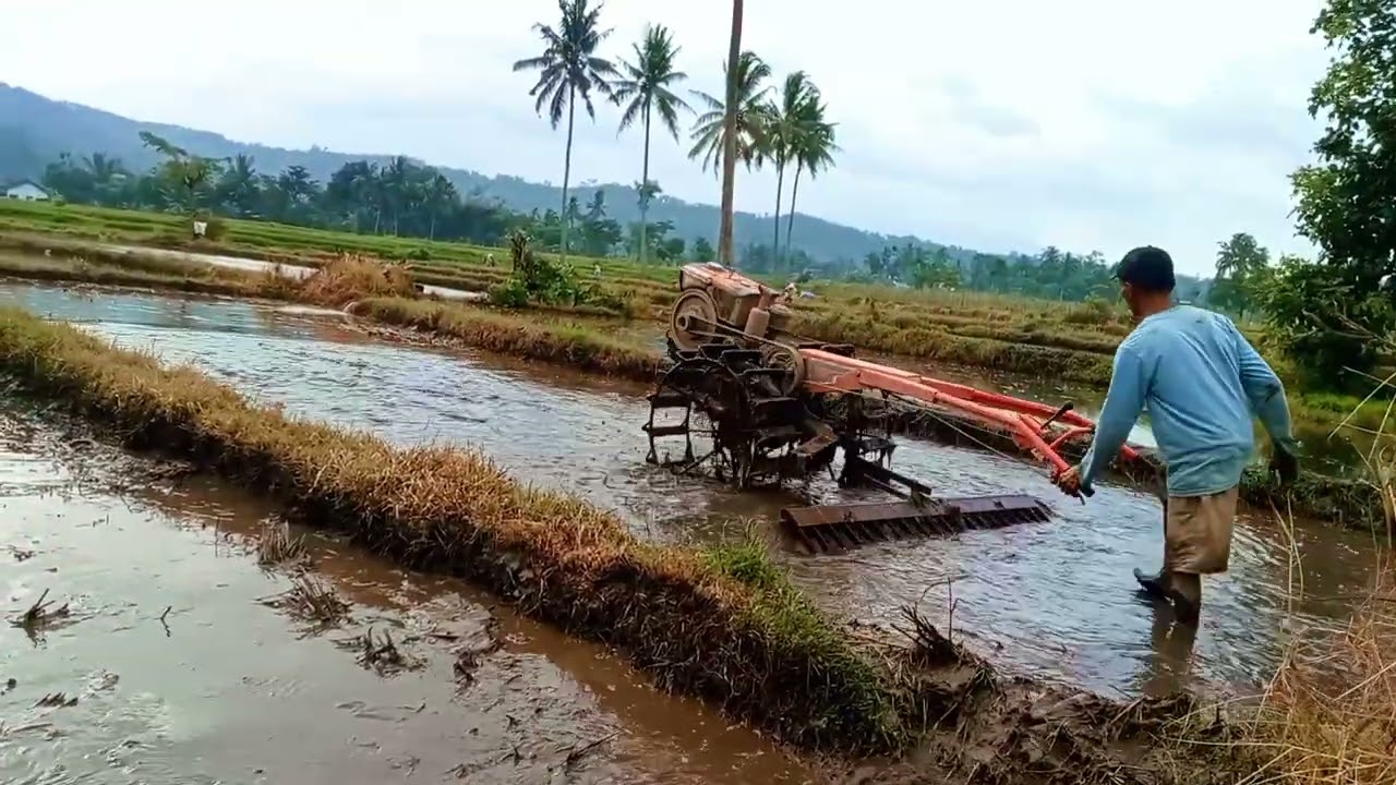 BAJAL SAWAH MENGUNAKAN PAKTAMPAK DAN PEMANDANGAN YANG SANGAT INDAH