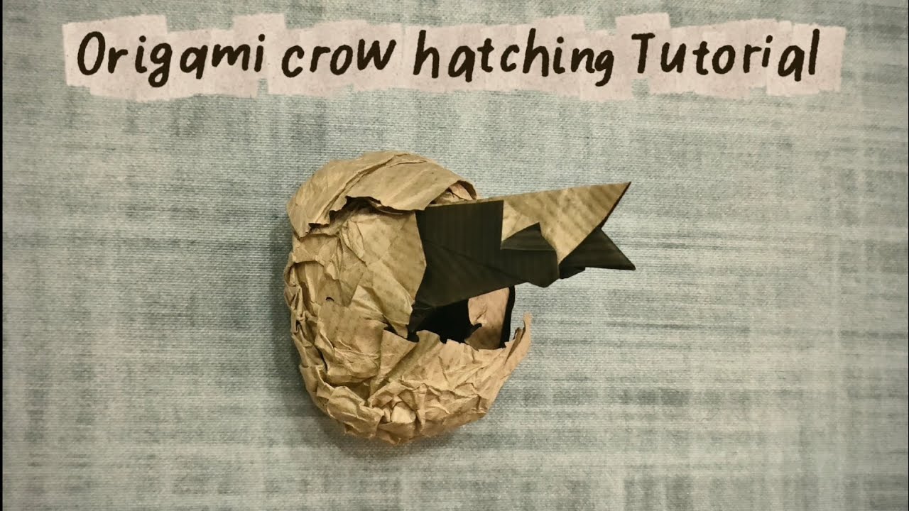 Origami Crow hatching Tutorial 