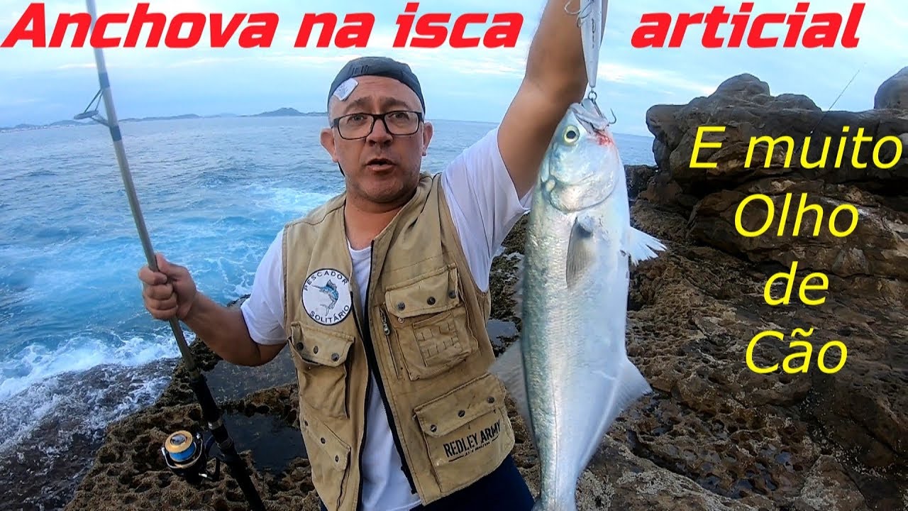 Pescaria de ANCHOVA e OLHO DE CÃO - Iscas Artificiais