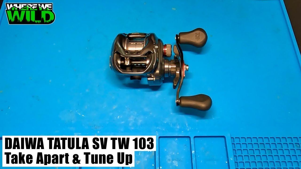 DAIWA TATULA SV TW - Take Apart & Tune up