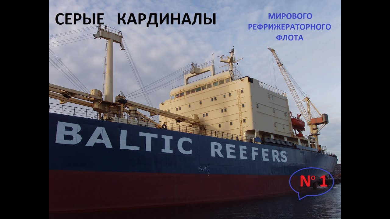 BALTIC REEFERS-СЕРЫЕ КАРДИНАЛЫ МИРОВОГО РЕФРИЖЕРАТОРНОГО ФЛОТА