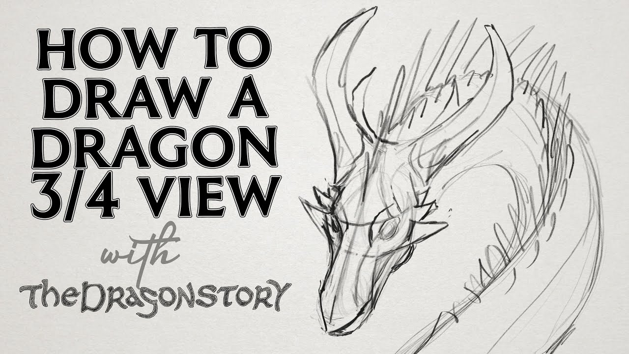 Beginners guide to drawing a dragon &ndash; The 3 / 4 pose of a dragon head &ndash; Natural species
