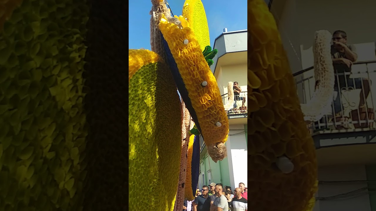 Madonna di mellito 2019