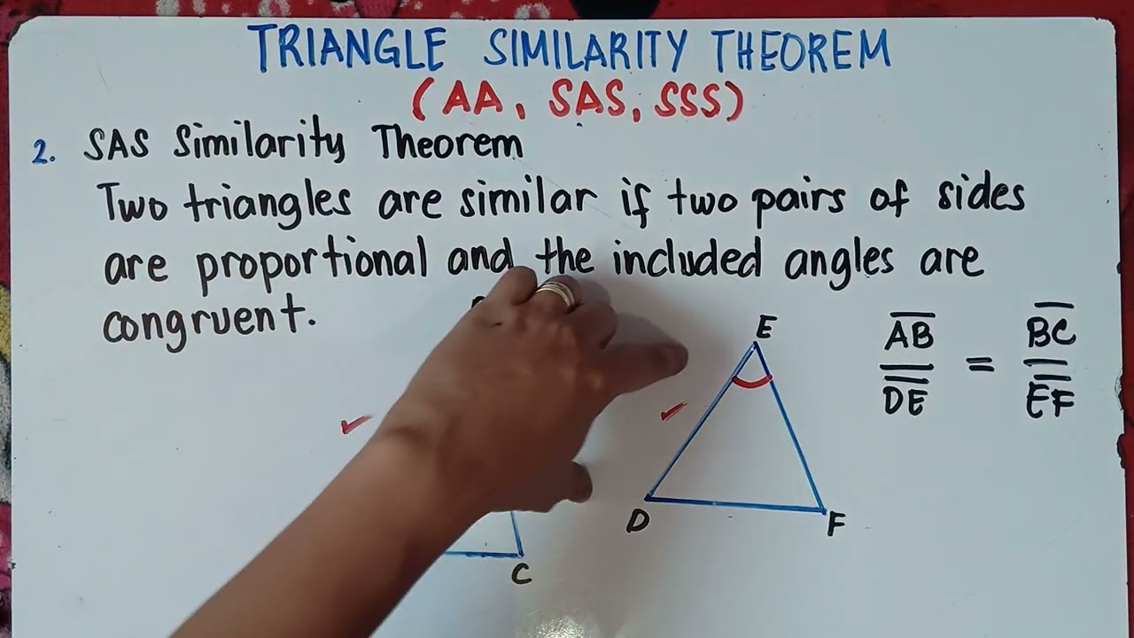 Triangle Similarity Theorem (AA, SAS, SSS)  | Explain in Detailed | With Examples |