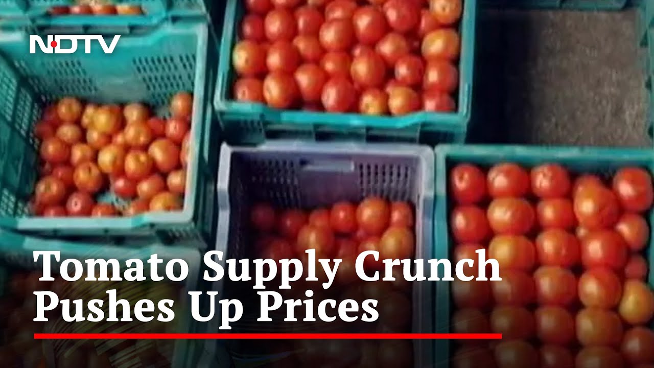 The Sharp Hike In Tomato Prices Across India
