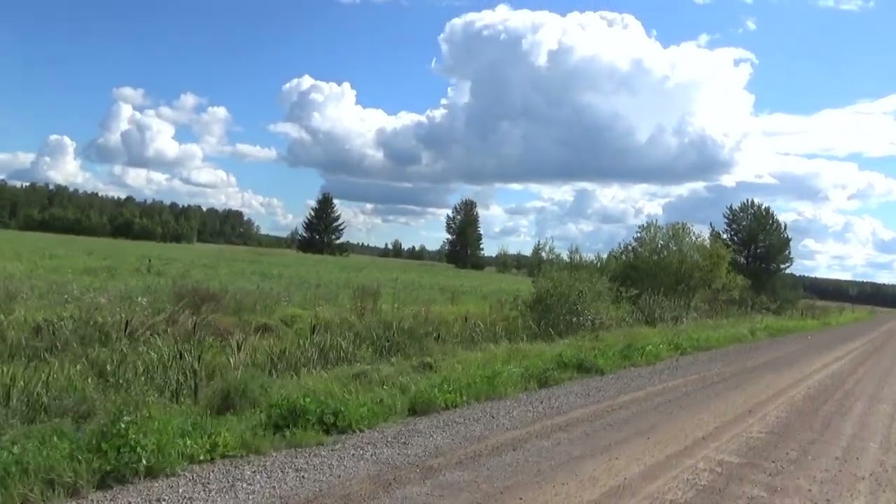 Gravel road from Jokela sand banks 13.8.2024