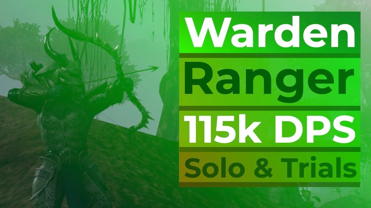 ESO Warden: Beginner Friendly Bow/Bow Build | No Mythic Required