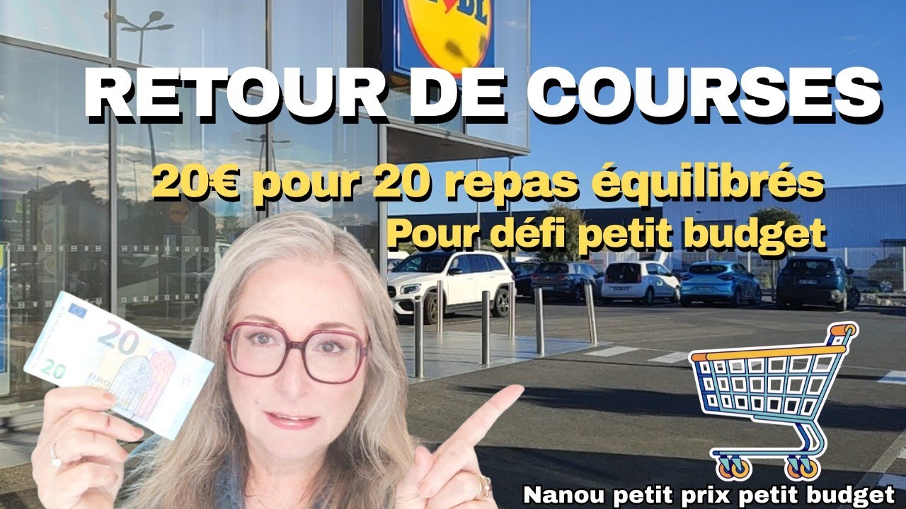 Moins de 20&euro; pour 20 repas ! |  D&eacute;fi petit budget |partie 1 : le retour de courses Lidl et Netto .🛒📝