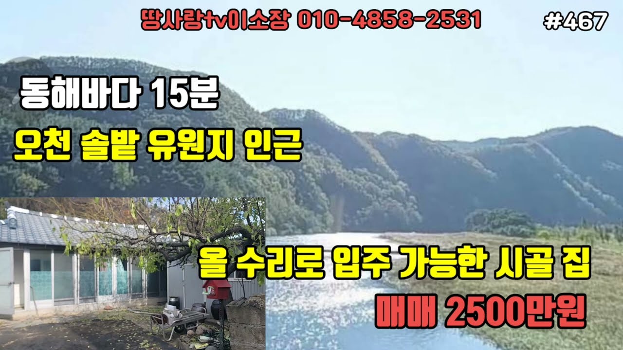(467) 영덕 오천솔밭유원지 인근 올수리로 입주 가능한 시골주택 매매 동해바다 15분