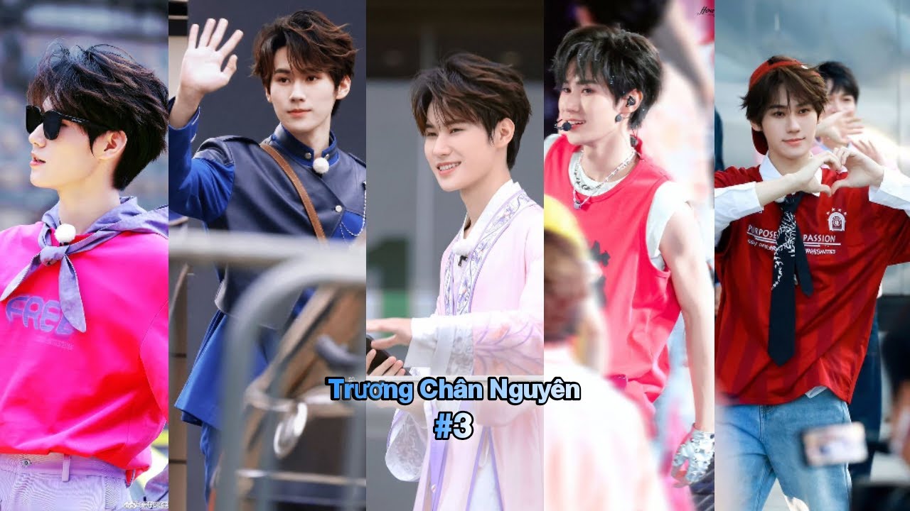 Bạo Quyền Trương Chân Nguyên danh xưng vs thực| Biển lục vì cậu mà thắp sáng cả 1 vùng trời 💚#3