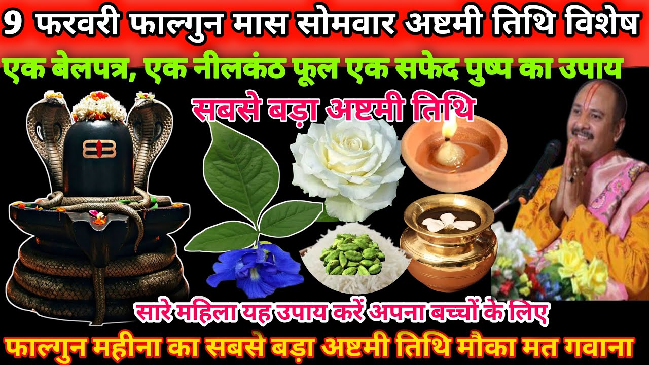 9 फरवरी सोमवार फाल्गुन मास अष्टमी तिथि के दिन एक बेलपत्र, एक सफेद पुष्प का अद्भुत उपाय🌺🔱#upay#shiv 
