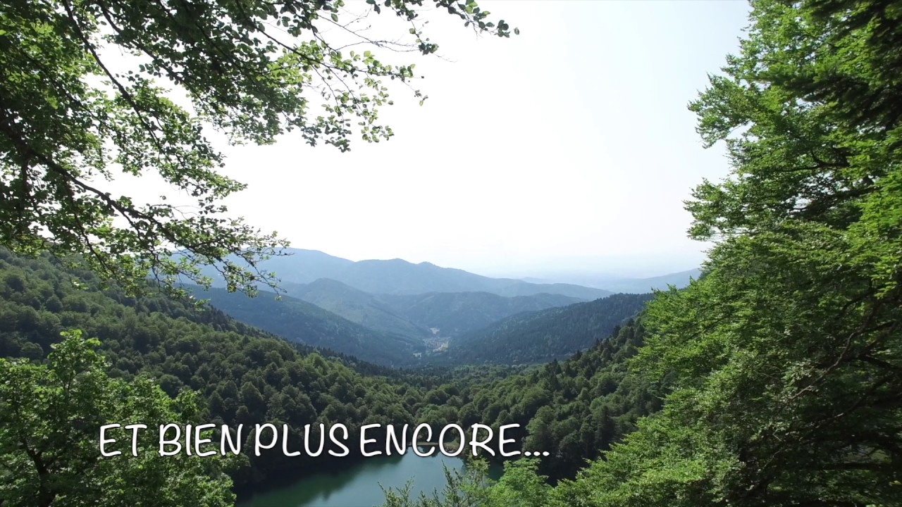 visite guidée pour une location saisonnière st Maurice/Moselle 88560 par un drone