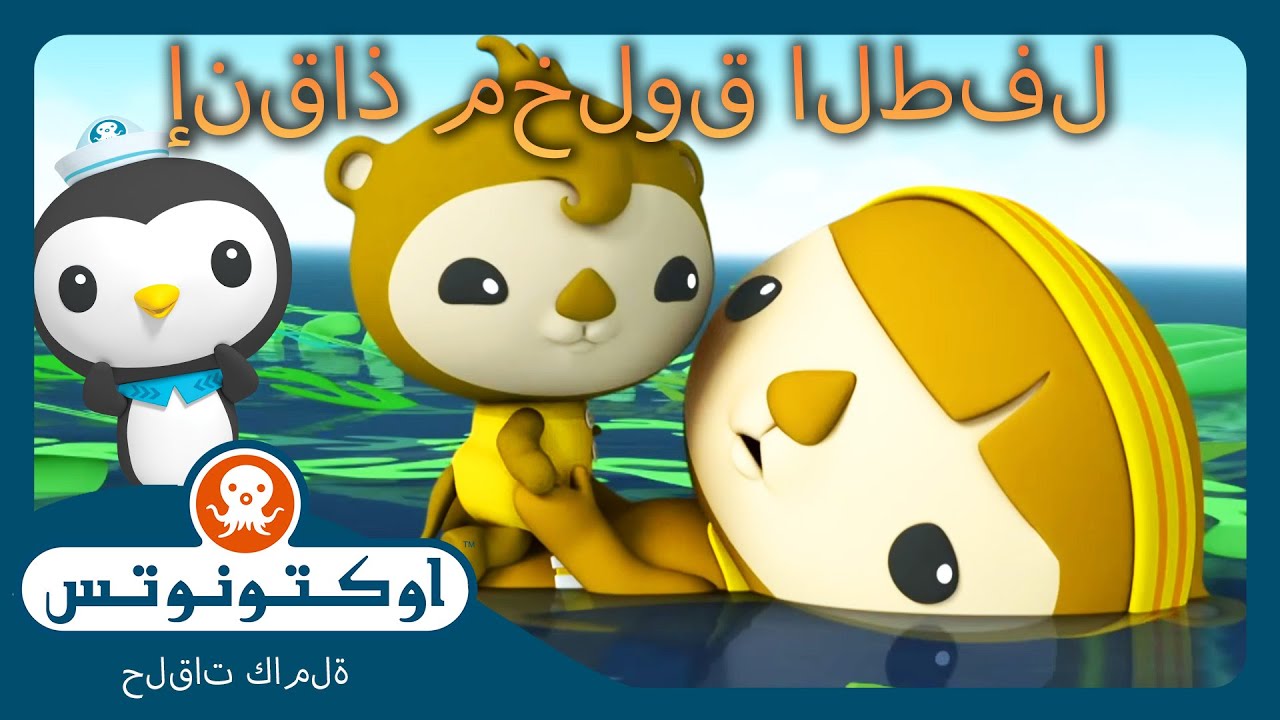 أوكتونوتس | 🦦 أجمل مخلوقات البحر الصغيرة 🛟 | حلقات مجمعة