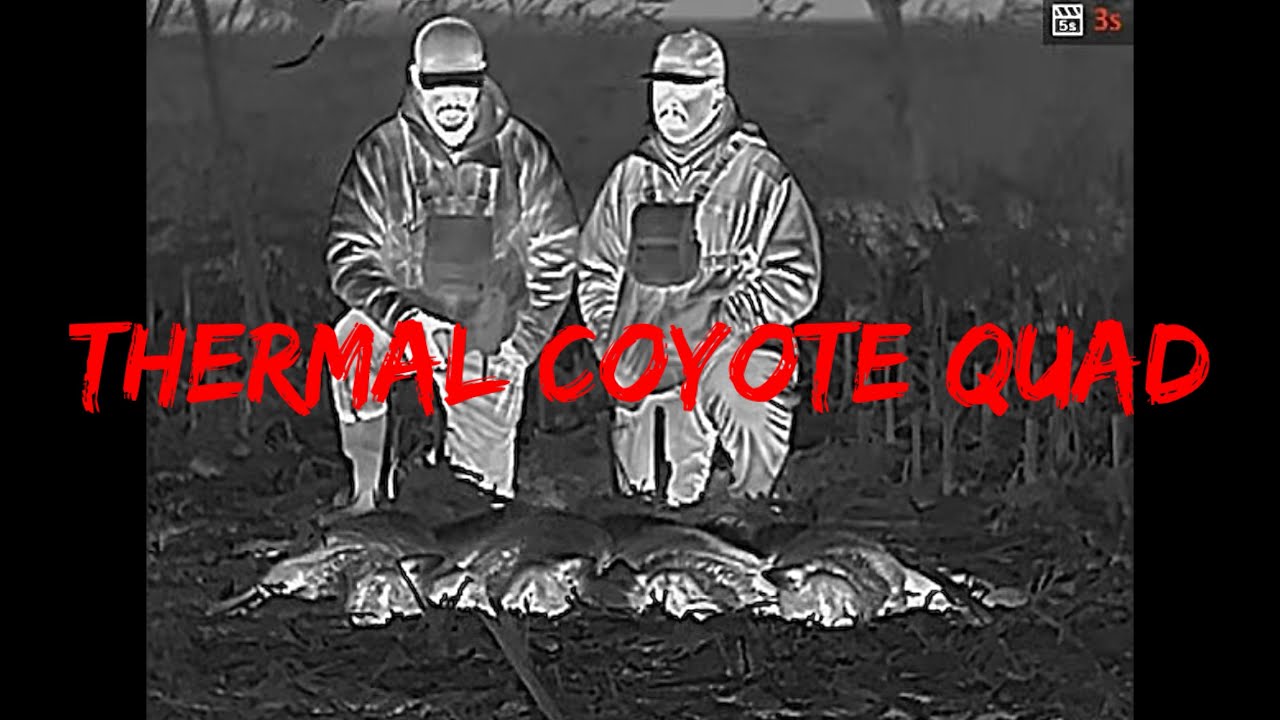 (MUST SEE) AGM Thermal Coyote Hunting Quad 
