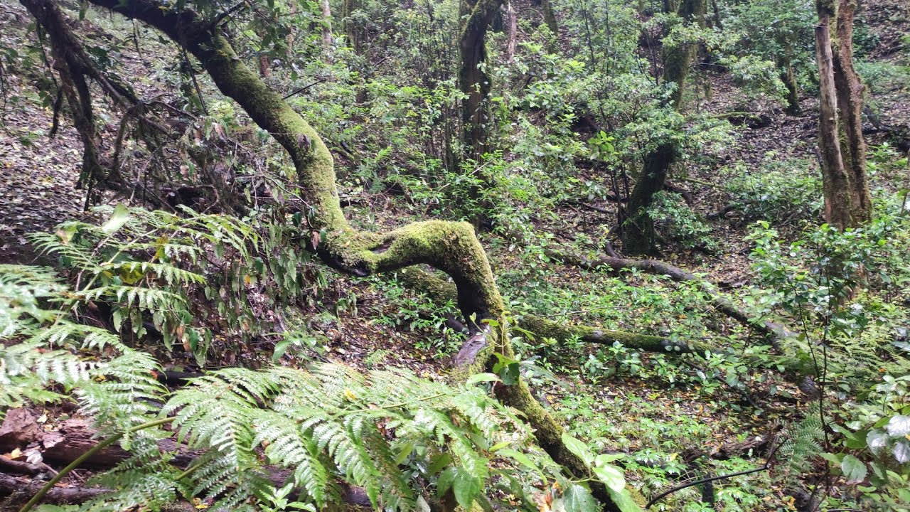 07-07-2025 Hija Cambada - Monte Aguirre 