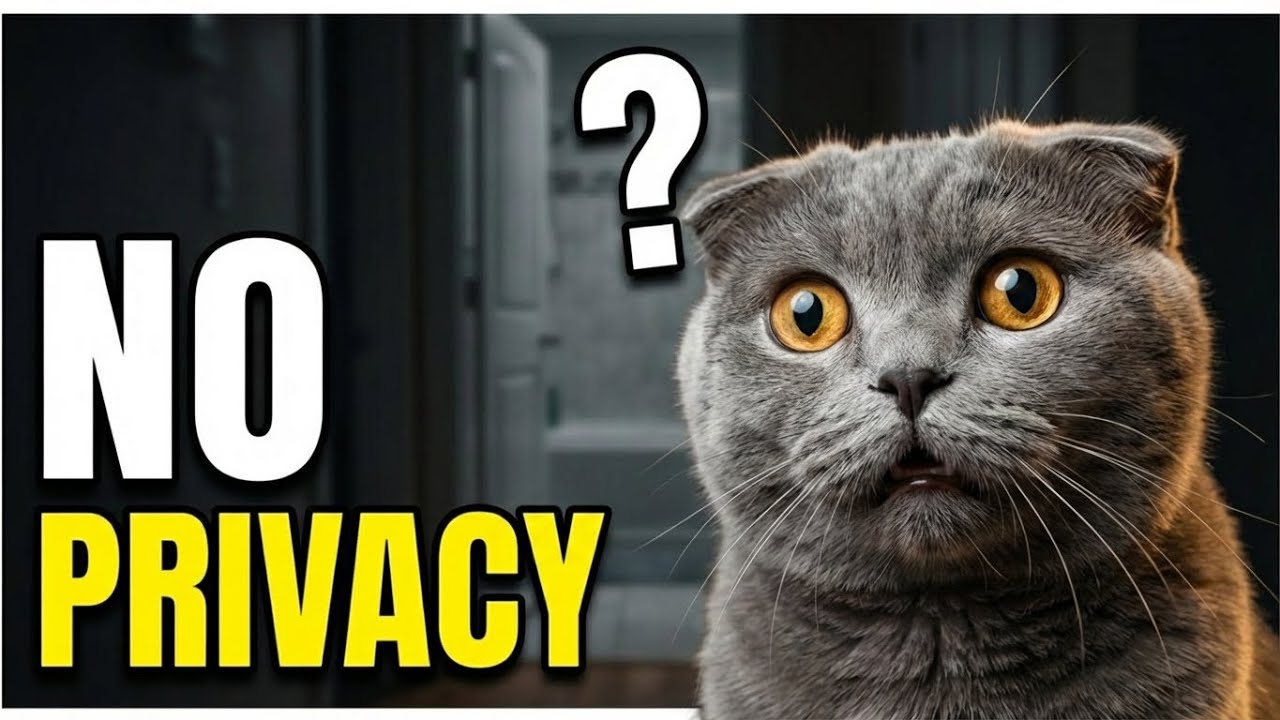 Why Your Cat Won’t Let You Use the Bathroom Alone (5 Real Reasons)
