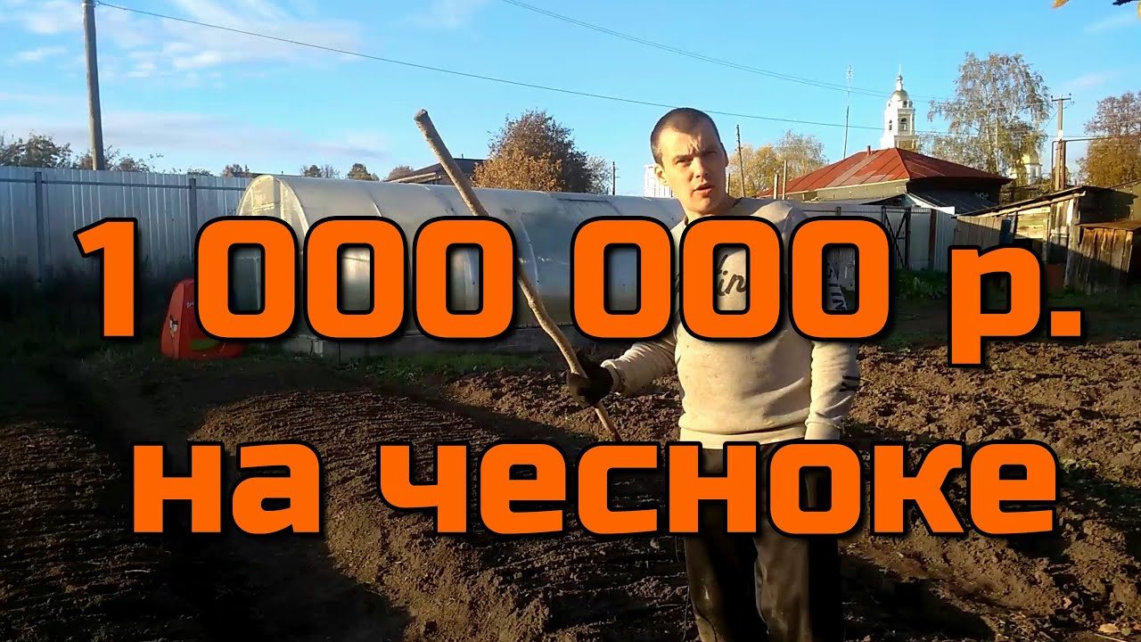 РЕАЛЬНО ЛИ ЗАРАБОТАТЬ 1 000 000 РУБЛЕЙ НА ЧЕСНОКЕ?!