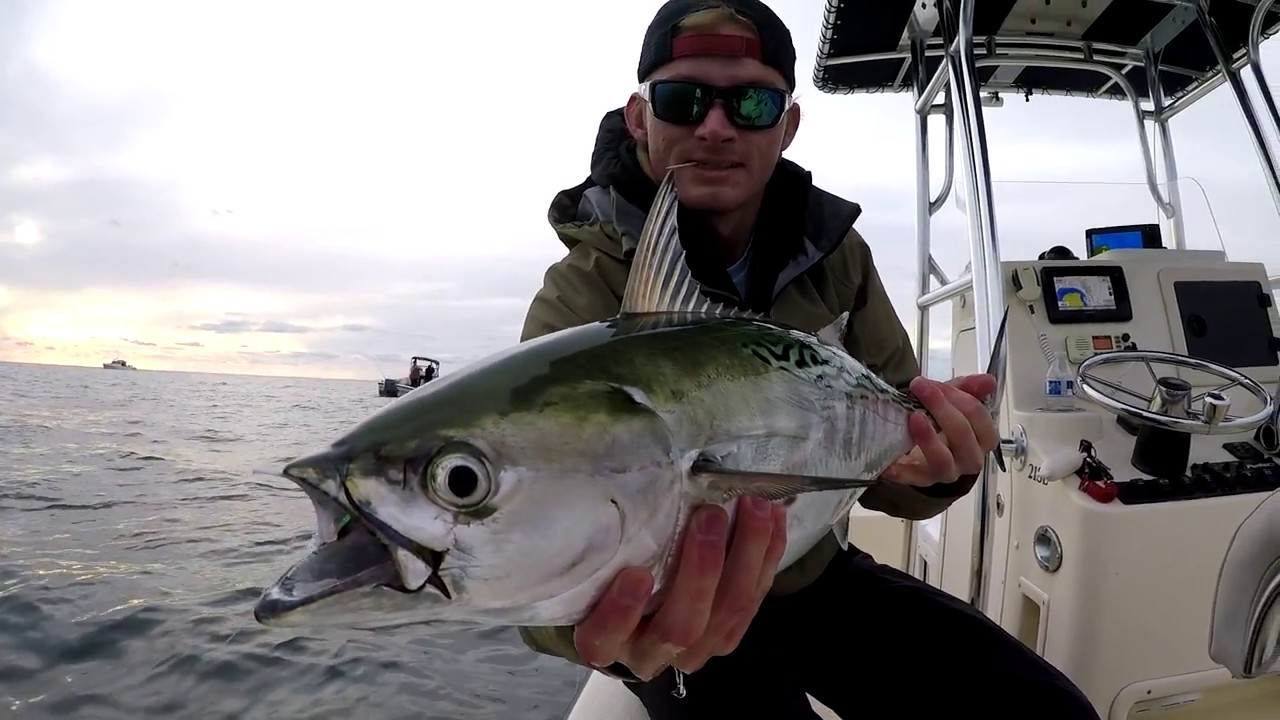 Montauk Fly Fishing
