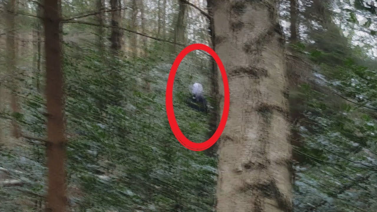 [Entry#7] REAL SLENDERMAN SIGHTING CAUGHT ON TAPE 2016 !!!