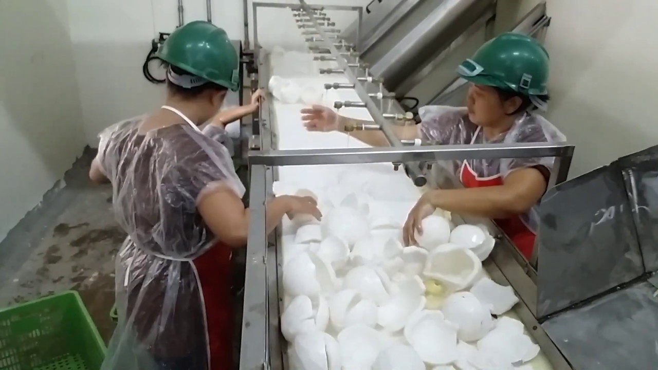 GTI High Quality Desiccated Coconut Powder Full Line Project