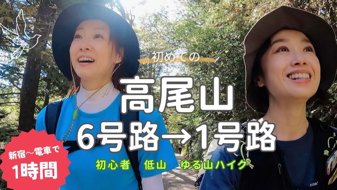【東京】初めての高尾山｜心地よい6号路と 激混みの山頂｜冬山で着る服　#初心者　#低山
