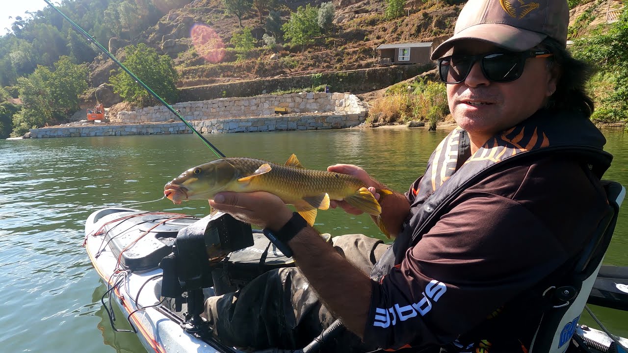 Pesca aos Barbos em Fly Fishing em Portugal (Rio Douro)