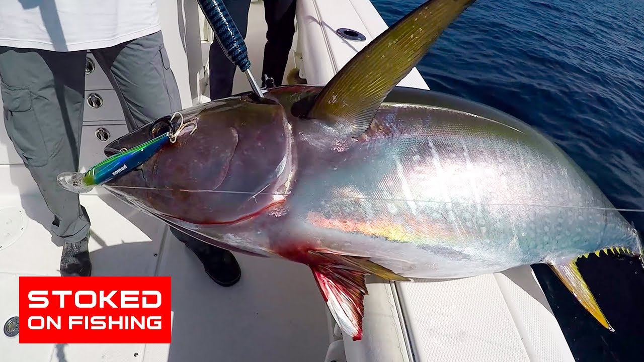 Поездка мечты на остров Каталина за 22 000 долларов | В восторге от рыбалки - Полный выпуск | 2020