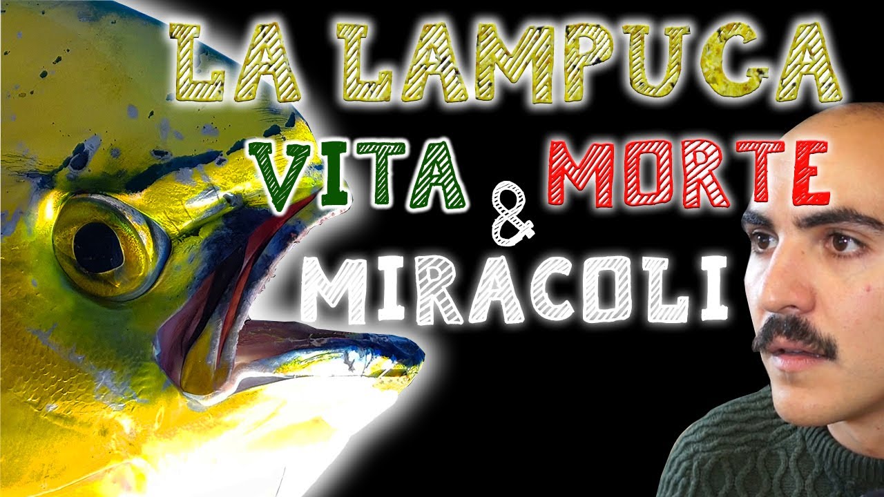 La Lampuga [VITA MORTE & MIRACOLI]
