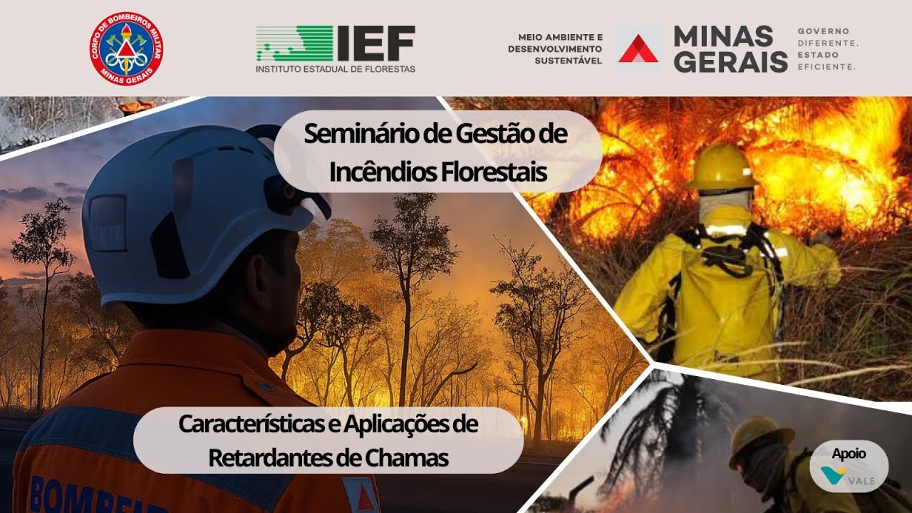 Apresenta&ccedil;&atilde;o - Caracter&iacute;sticas e Aplica&ccedil;&otilde;es de Retardantes de Chamas