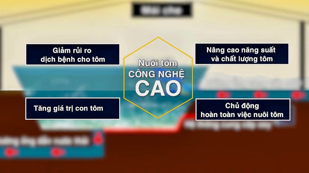 Hiệu quả m&ocirc; h&igrave;nh nu&ocirc;i t&ocirc;m c&ocirc;ng nghệ cao