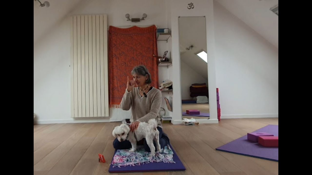Le Corps en Yoga 10 février 2026 - nos yeux sont précieux #4_la mudra