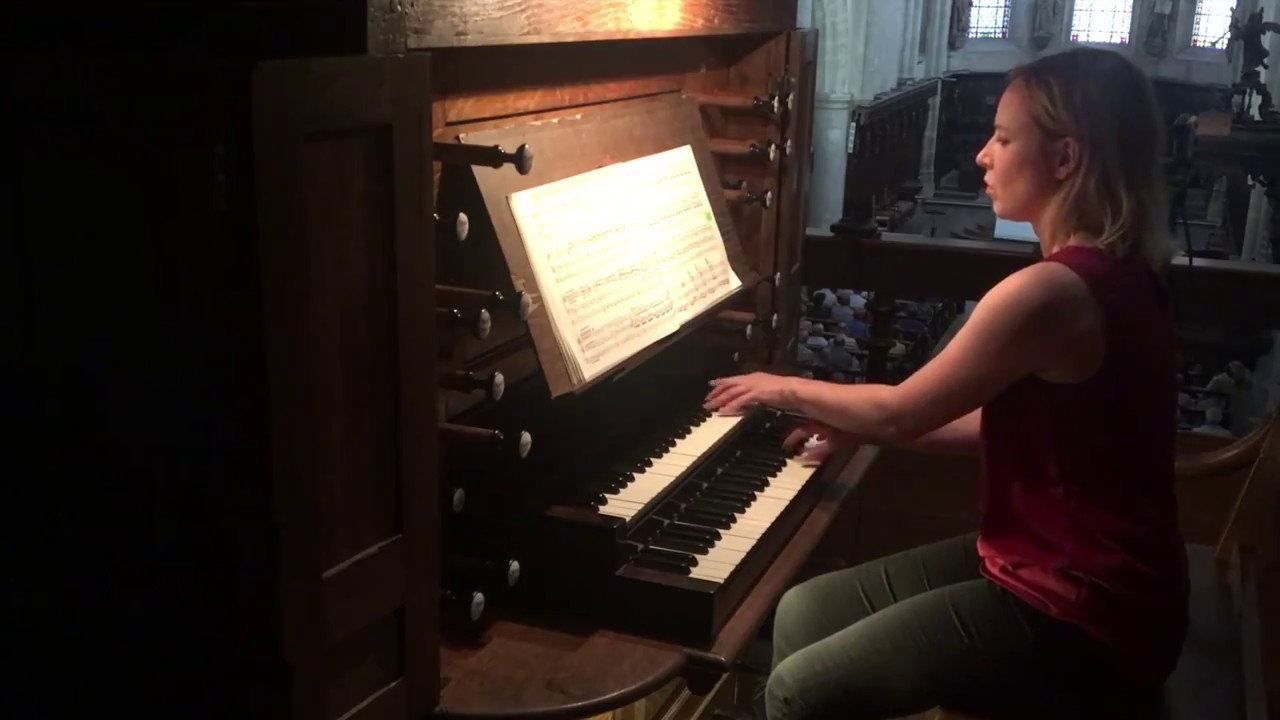 J. S.  Bach/Vivaldi Concerto in a minor BWV 593