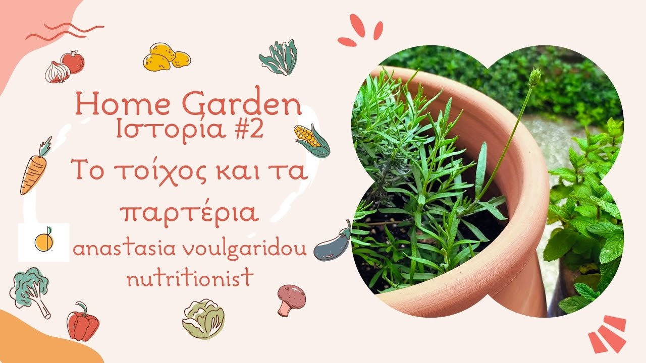 Ο κήπος μου | Το τοίχος και τα Παρτέρια | Ιστορία #2
