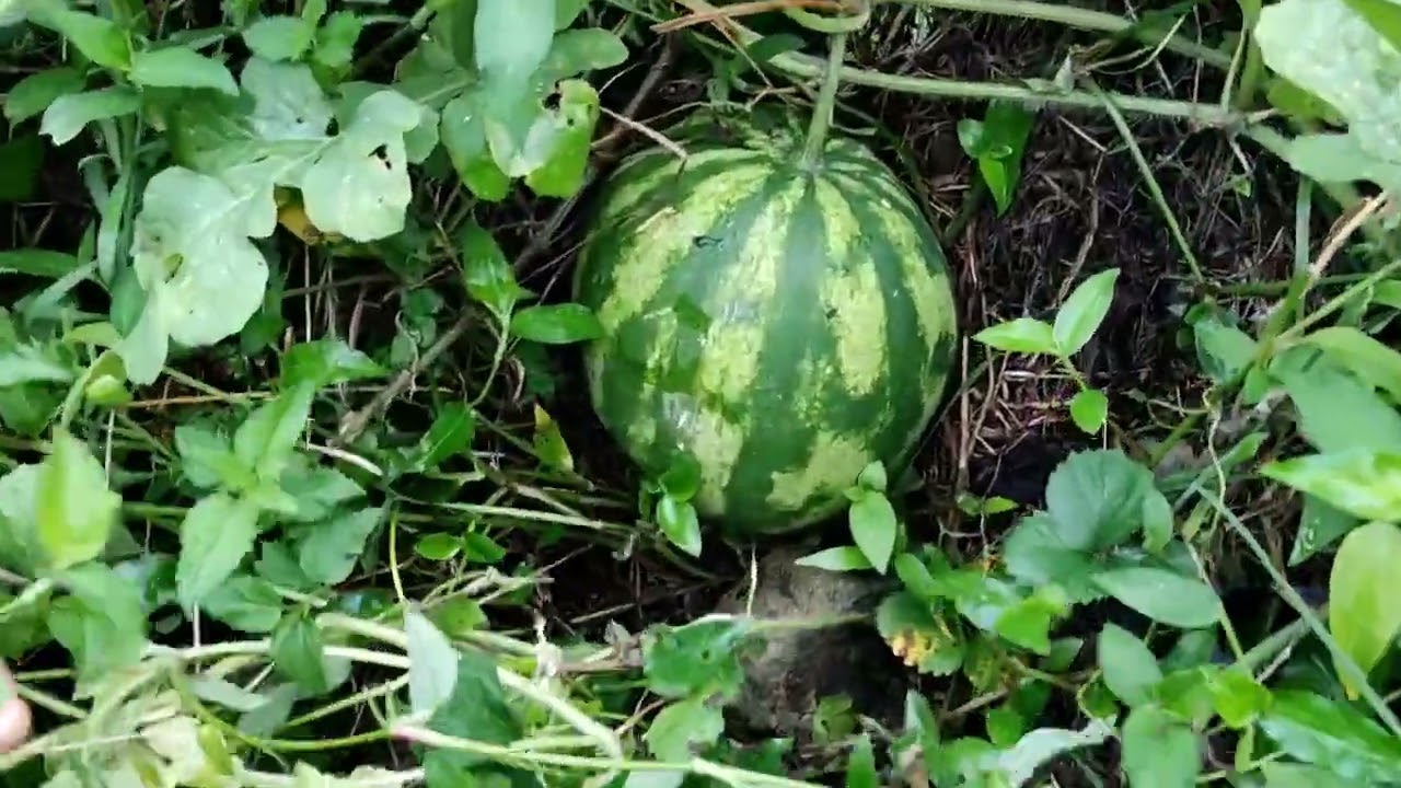 İŞTE BURASI BENİM CENNETİM....