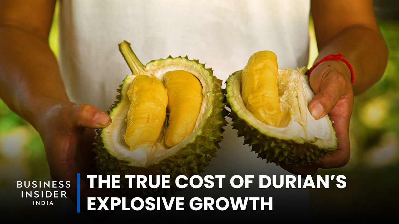 The True Cost Of Durian’s Explosive Growth | True Cost