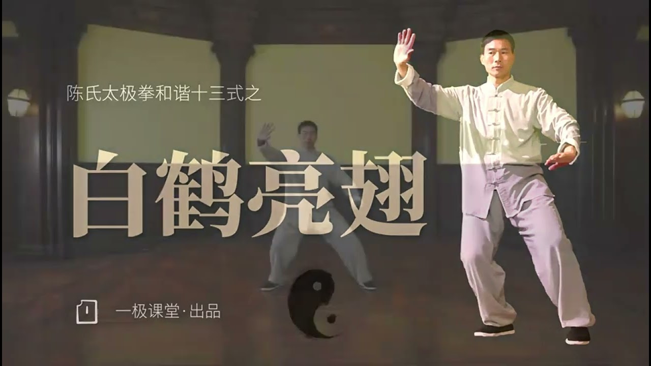 陈氏太极和谐十三式之二