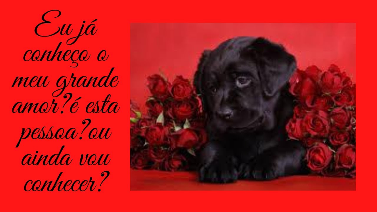 ♥️Eu já conheço meu grande amor?♥️essa pessoa é meu grande amor?♥️ou ainda vou conhecer?♥️