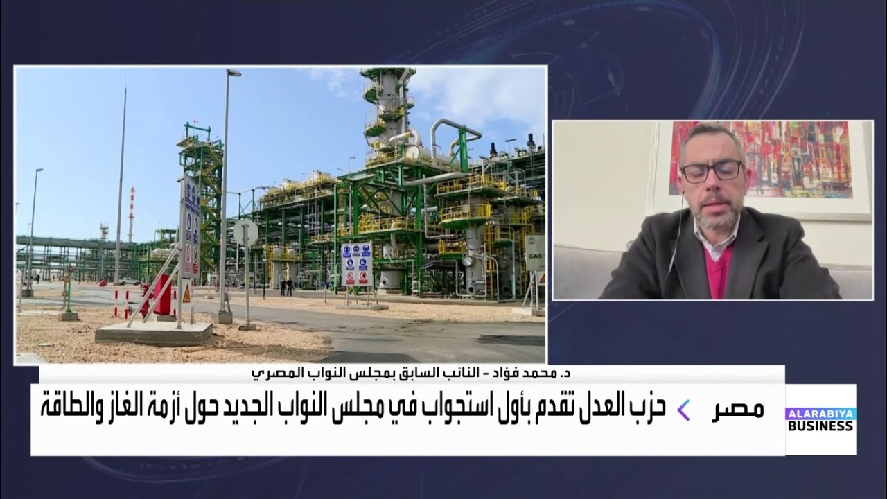 د. محمد فؤاد: مصر أنفقت 21 مليار دولار على استيراد البترول مقارنة بـ 12 مليار دولار في العام الماضي