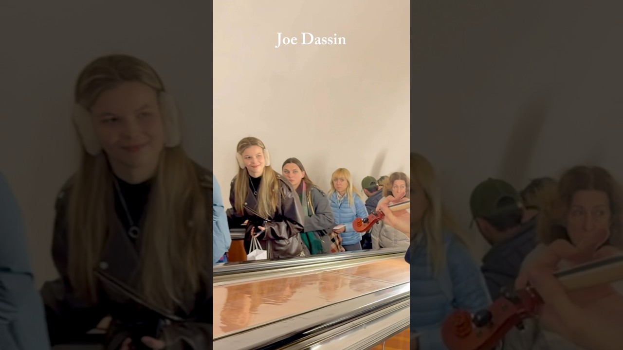 Joe Dassin #violin #violinmusic #violinist #music #fyp #violincover #livemusic